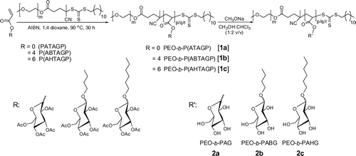 Scheme 1. Schematic representation of the syntheses of PEO based di-block glycopolymers (0, 4, and 6 indicates spacer length) via the RAFT process and deacetylation of the pendant 2,3,4,6-tetra-O-acetyl-d-glucopyranoside.