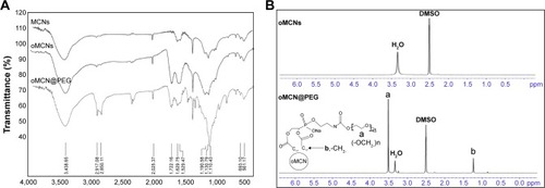 Figure 2 Characterizations of functional groups.Notes: (A) FTIR spectra of MCNs, oMCNs, and oMCN@PEG. (B) 1H-NMR spectra of oMCNs and oMCN@PEG in DMSO-d6.Abbreviations: FTIR, Fourier transform infrared; MCNs, mesoporous carbon nanospheres; oMCNs, oxidized mesoporous carbon nanospheres; oMCN@PEG, polyethylene glycol-modified oxidized mesoporous carbon nanospheres; 1H-NMR, 1H-nuclear magnetic resonance; DMSO, dimethylsulfoxide.