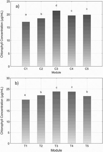 Figure 1. Average chlorophyll concentration in (a) cucumber leaves and (b) tomato leaves. C is for cucumber modules and T is for tomato modules. 1, 2, 3, 4 and 5 are the five different modules studied. 1, control module without any application; 2, EDDHA-Fe fertilizer applied three times during the crop cycle; 3, HBED-Fe fertilizer applied three times during the crop cycle; 4, HBED-Fe fertilizer applied two times during the crop cycle; 5, HBED-Fe fertilizer applied one time during the crop cycle.*Means with the same letter are not significantly different (p < .05).