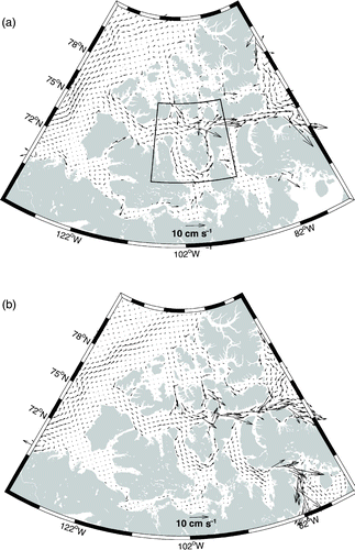 Fig. 6 (a) The mean currents in the CAA averaged over the top 300 m and over years 6–8 in the CAA control experiment, with one-fifth of the horizontal grid points shown. An enlargement of the inset box is shown in Fig. 7. (b) as in (a) but for the pan-Arctic experiment averaged over years 16–18, with one-third of the horizontal grid points shown.