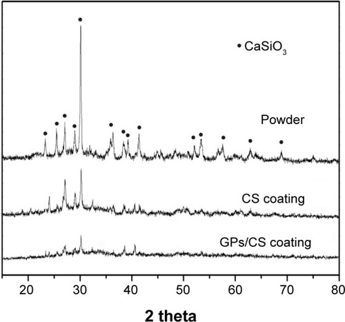 Figure 2 XRD patterns of the GPs/CS composite powder, CS and GPs/CS coatings.Abbreviations: XRD, X-ray diffraction; GPs, graphene plates; CS, calcium silicate.