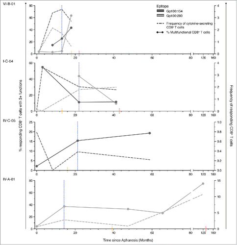 Figure 8. Multifunctional, tumor-specific CD8+ T cells persist for several years. Patients with satisfactory sample availability were followed during the course of their disease. Dotted lines indicate the frequency of responding, tumor-specific CD8+ T cells (right y-axis) and filled lines indicate the percentage of multifunctional T cells within these responses (left y-axis). Blue lines indicate the last administration of DC vaccination therapy. Orange lines indicate the time point of disease progression, red lines indicate the death of the patient. The functionality of DC vaccination-induced CD8+ T cell responses increased for most patients during the period of vaccination and remained steady afterwards. The functionality of T cell responses against different tumor antigens within the same patients developed differently. Induced multifunctional T cells persisted in some cases for more than 100 mo after last administration of DC vaccination.