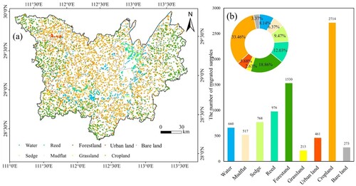 Figure 6. (a) The spatial distribution of the migrated unchanged training sample. (b) The number of migrated samples in each land cover type in DLW.