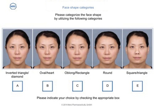 Figure 2 The Merz five-point photonumeric facial shape categories for females.