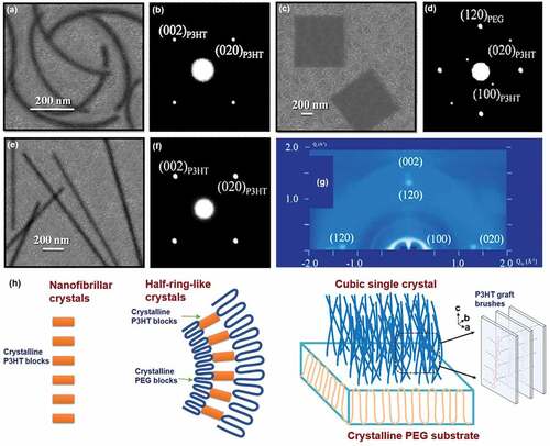 Figure 7. (a) TEM BF image and (b) ED pattern of scrolled half-rings crystals of P3HT7000-b-PEG5000 block copolymers isothermally crystallized at 30 °C; (c) TEM BF image and (d) ED pattern of P3HT7000-b-PEG5000 square single crystals seedily grown at Tc = 30 °C for 24 h in amyl acetate.(e) TEM BF image and (f) ED pattern of the fibrillar single crystals of pure P3HT; (g) 2D GIWAXD pattern of cubic P3HT-b PEG crystals isothermally crystallized at 30 °C; (h) Schematic illustration of homopolymer-P3HT fibrillar crystal, P3HT-b-PEG scrolled half-rings crystals and flat-on crystals. Reprinted from Ref. [Citation109] with permission. Copyright 2016.