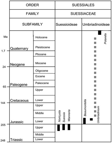 The stratigraphical ranges (solid black lines) of the genera belonging to the subfamilies Suessioideae and Umbriadinoideae (adapted from Bucefalo Palliani and Riding Citation2000; fig. 2). The stratigraphical gap between the Early Jurassic and Recent occurrences of Umbriadinium and Polarella is indicated by a discontinuous grey line. The geological ages are taken from de Graciansky et al. (Citation1989).