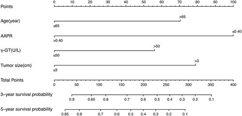 Figure 3. The AAPR-based nomogram predicting the 3- and 5-year survival probabilities of early-stage HCC after radiofrequency ablation.