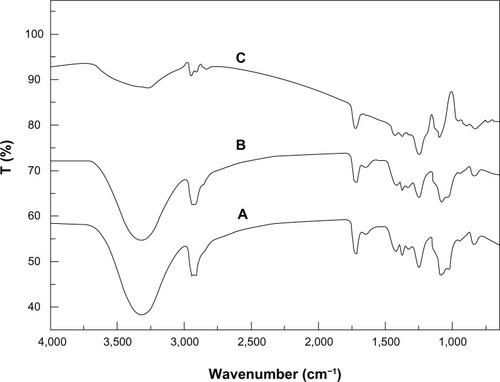 Figure 4 Fourier transform infrared spectra of (A) the neat PVA/COS nanofiber, (B) the PVA/COS/AgNO3 nanofiber, and (C) the PVA/COS-AgNP nanofiber.Abbreviations: AgNP, silver nanoparticle; COS, chitosan oligosaccharide; PVA, poly(vinyl alcohol).