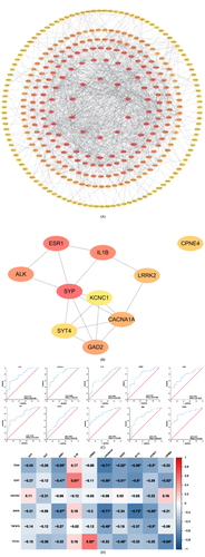 Figure 6 PPI network of DEGs. (A): PPI network of key genes; (B): Subnetwork of PPI network. (C): ROC curve of hub genes. (D): Correlation analysis between ICGs and hub genes. Colors indicate correlations. A redder color means stronger positive correlation while a bluer color means stronger negative correlation. *: P <0.05.