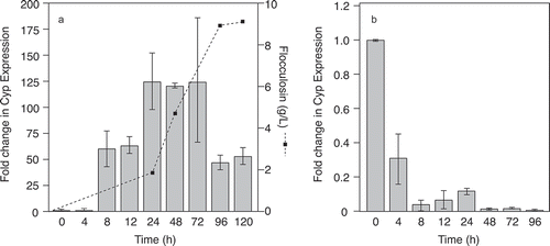 Fig. 6. Reverse transcription RT-PCR analysis of Pseudozyma flocculosa actin-normalized cyp1 expression with (a) flocculosin quantification within a growth medium conducive to flocculosin production; and (b) after inundative applications of conidia on powdery mildew-infected cucumber leaf discs. Error bars represent the standard error for each treatment.