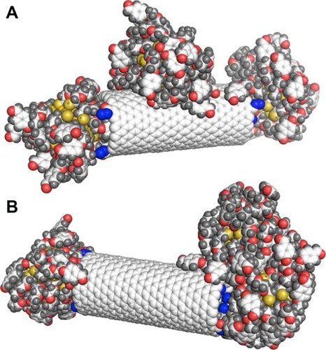 Figure 3 Simulation snapshots of the system with an extra AuNP located on the CNT sidewall.Notes: (A) Initial position in the middle of the CNT. (B) Close contact with the AuNP capping the CNT.Abbreviations: AuNP, gold nanoparticle; CNT, carbon nanotube.