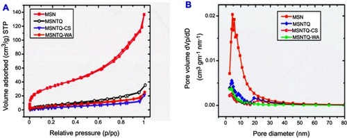 Figure 4 Nitrogen adsorption–desorption isotherms and pore size distributions measurements of all materials.Notes: The N2 adsorption-desorption isotherms of MSN, MSNTQ, MSNTQ-CS, and MSNTQ-WA (A). The pore diameter distribution for materials before and after TQ loading and coating with shells for nanoformulations (B).Abbreviations: MSN, mesoporous silica nanoparticles; MSNTQ, MSNs loaded with TQ as core; MSNTQ-CS, MSNTQ coated with the shell consists of chitosan and stearic acid; MSNTQ-WA, MSNTQ coated with the shell consists of whey protein and gum Arabic; TQ, thymoquinone; dVp/dD, pore volume distribtion; STP, standard temperature and pressure.