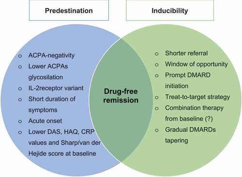 Figure 1. Features supporting predestination and inducibility of drug-free remission in rheumatoid arthritis.