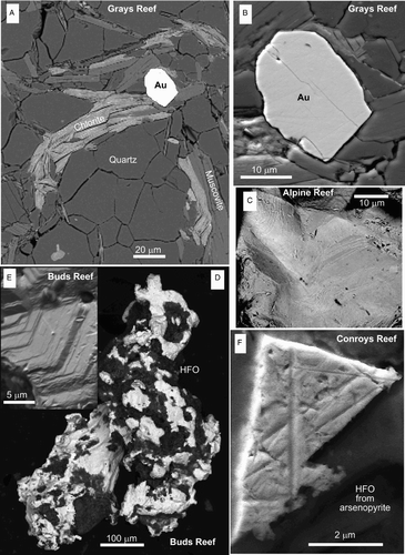 Figure 5 Scanning electron images of gold from mineralised faults. A, B, A gold particle has replaced folded metamorphic silicates in Torlesse Terrane schist, Grays Reef. C, Surface textures of a gold grain from silicified breccia, Alpine Reef. D, E, Supergene gold from Buds Reef intergrown with iron oxyhydroxide (HFO), with localised growth of gold crystal faces. F, Angular gold grain encapsulated in arsenopyrite (now oxidised to HFO) from Conroys Reef.