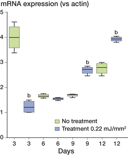 Figure 5. Effect of ESW treatment on collagen type III expression. Relative expression of collagen type III after treatment with ESW (EFD = 0.22mJ/mm2, 1,000 impulses) (n = 4). Significance compared to no treatment: b p < 0.001.