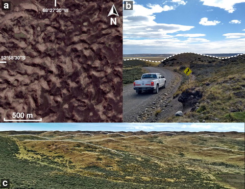 Figure 3. Hummocky moraine aspect. Google EarthTM satellite image (a). Appearance of hummocks in the field (b and c).