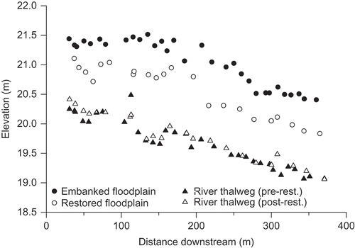 Fig. 6 Comparison of floodplain elevation adjacent to the river channel along the study reach before (embanked) and after (restored) embankment removal. The embanked floodplain data represent the highest point on the embankments, and the restored floodplain data represent the closest corresponding sample location after embankment removal. The river thalweg (pre- and post-restoration) is also plotted with distance downstream.