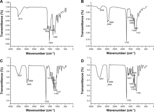 Figure 8 Fourier transform infrared spectra of native curcumin (A), poly (ε-Caprolactone)-poly (ethylene glycol)-poly (ε-Caprolactone) (B), void NP63 (C), and curcumin-loaded NP63 (D).