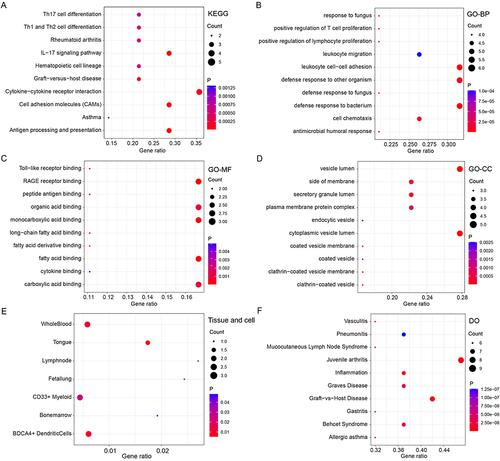 Figure 2 Functional enrichment analysis of IRDEGs. KEGG plot showed the top 10 enriched pathways of IRDEGs (A). GO plots showed the enriched functions of IRDEGs in biological processes (BP), cellular components (CC), and molecular functions (MF) (B–D). The enriched diseases, tissue and cell of IRDEGs (E and F).