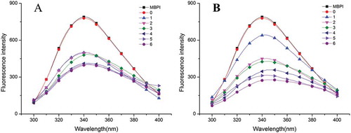 Figure 6. Fluorescence spectra of MBPI and MBPI–D conjugates obtained at 80°C (A) and 90°C (B).