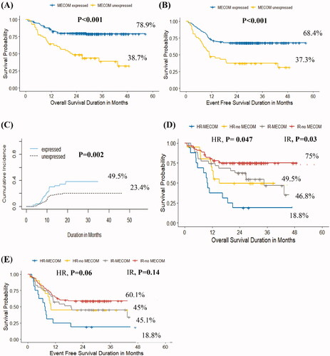 Figure 2. Impact of MECOM gene overexpression on survival. (A) Kaplan–Meier curves of overall survival of patients with MECOMpos vs MECOMneg among the whole cohort, (B) Kaplan–Meier curves of event-free survival of patients with with MECOMpos vs MECOMneg among the whole cohort, (C) Cumulative incidence of relapse among patients with MECOMpos vs MECOMneg among the whole cohort, (D) Kaplan–Meier curves of overall survival of patients with MECOMpos vs MECOMneg within disease risk group, (E) Kaplan–Meier curves of event-free survival of patients with MECOMpos vs MECOMneg within disease risk group.