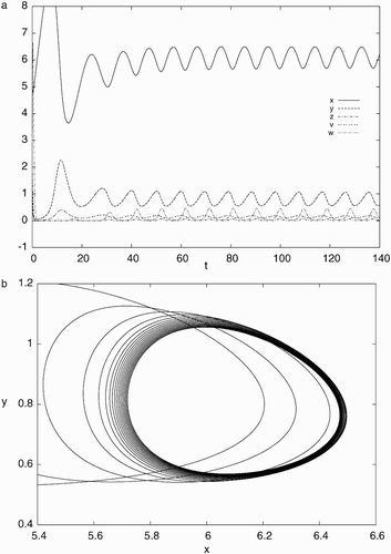 Figure 4. Simulation results of system Equation(21) for d=0.022, a=0.93, c=40, b=p=q=5.6 with the initial condition, x(0)=5.0, y(0)=1.0, z(0)=2.0, v(0)=0.5, w(0)=4.0: (a) time history showing convergence to a stable periodic solution and (b) phase portrait projected on x−y plane indicating a stable limit cycle.