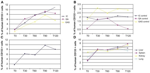 Figure 6 Q-PCR analysis of injected muscles and organs. Q-PCR of injected scid/mdx mice euthanized 0, 30 minutes, 60 minutes, 90 minutes, and 2 hours after cellular transplantation: the graphs are related to (A) muscles of injected leg; (B) muscles of contralateral leg; (C) DIA; and (D) organs.Abbreviations: DIA, diaphragm; Q-PCR, real-time polymerase chain reaction.