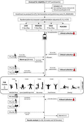 Figure 1. Flow chart of the study design.