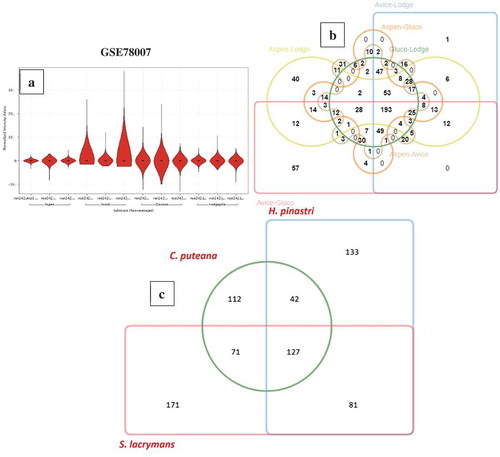 Figure 4. (a) Violin plots showing the distribution of differentially expressed significant genes obtained in GSE78007 dataset, (b) Six-way Venn diagram showing the number of commonly expressed genes among the experimental conditions of GSE78007 dataset, (c) Three-way Venn diagram showing the number of common differentially expressed significant genes among the H. pinastri, S. lacrymans, C. puteana in GSE64897 dataset.