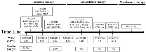 Figure 4. Timeline of the patient’s therapy.