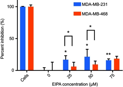 Figure 5 EIPA inhibited uptake of FITC-NPs in MDA-MB-231 cells and MDA-MB-468 cells. (n=3, *p<0.05, **p<0.01).