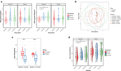 Figure 4. Impact of amoxicillin on fecal ARG diversity and composition. (a) Violin plots showing the ARG α-diversity measured and compared over time points in amoxicillin and placebo groups using Chao1 (richness; left) and Shannon (evenness; right) index, respectively. Each point corresponds to a given sample, and each box span from the first to third quartiles with a horizontal line inside the boxes representing the median. Adjusted P values were computed using the LME mixed effect model and Tukey’s HSD post hoc test. Adjusted P values (P): ***P < .001, **P < .01; *P < .05. (b) β-diversity was analyzed using principal component analysis (PCA) based on the clr-transformed ARG count abundance matrix. Each point represents a single sample, shape indicate treatment group, colored according to different time points and groups. Ellipses indicate 95% confidence intervals (CI). (c) ARG β-diversity measured by Bray–Curtis dissimilarity is compared between the amoxicillin (red) and placebo (blue) samples at baseline and the other time points, i.e., 3 and 12 months. Each point represents the dissimilarity in one individual’s resistome at baseline compared each of the other time point samples. Center line is median, box limits are upper and lower quartiles, whiskers are 1.5× interquartile ranges and points beyond whiskers are outliers (P < .05; Wilcox rank sum test). (d) Distribution of the Bray–Curtis distance of resistome (ARGs) between patients at the same time point within treatment groups. The statistical difference between the timepoints in both groups was tested by the paired Wilcoxon test, and the significance is marked with * P < .05, **P < .01 and ***P < .001.