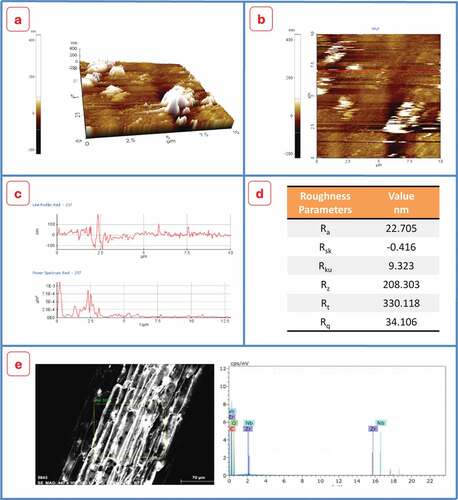 Figure 5. FSLF Fibre (a) 3D roughness surface texture, (b) 2D roughness surface texture, (c) 2D roughness measurement, (e) roughness parameters, and (f) EDX analysis.