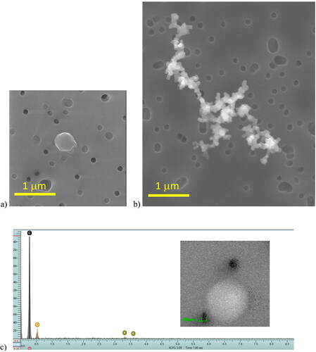 Figure 5. SEM-EDS of carbonaceous combustion PM collected during wildfires in San Rafael. (a) typical 200 nm amorphous spheroid morphology of tar ball from biomass combustion. (b) 20 nm primary particles in rarely observed chain agglomerate, typical of diesel vehicle emissions. (c) 300 nm tar ball CCSEM-EDS spectrum (X-ray counts vs. energy [keV]) with K peak.
