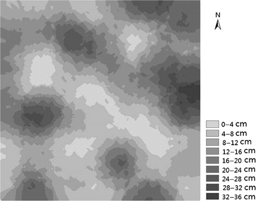 Figure 1. Distribution map of sand burial depth in the 100 × 100 m plot.