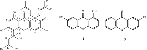 Figure 1 Structures of compounds 1, 2, and 3.