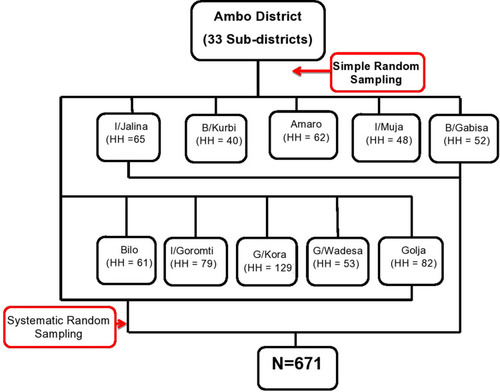 Figure 1 Schematic representation of sampling procedure for intimate partner violence and its associated factors among women in Ambo district, Oromia regional state, Ethiopia, March, 2018.