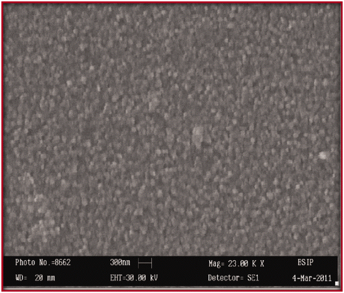 Figure 1. SEM image of BaTiO3 nanocomposite thin film.
