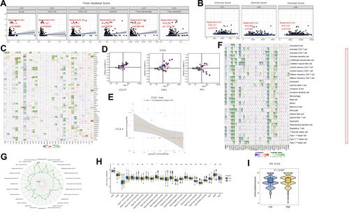 Figure 5 The effect of LRP1B expression on immune status. (A) The correlation between LRP1B expression and immune cell infiltration in HCC. (B) The correlation between LRP1B expression and the ESTIMATE score in HCC. (C) Heat map showing the pan-tumor correlation between LRP1B expression and immune checkpoint molecules. (D) Scatter plot showing the correlation between LRP1B expression in tumor tissues and key immunosuppressive molecules in TCGA data. (E) Scatter plot showing the correlation between LRP1B and CTLA4 expression in all cancer cell lines in the CCLE database. (F) Pan-tumor correlation between LRP1B expression and the abundance of 28 TIICs. (G) Correlation between LRP1B expression and TIICs in HCC. (H) Analysis of the cancer-immunity cycle in the LRP1B mutant and wild-type groups. (I) IPS distribution in HCC groups with high and low LRP1B expression. *P<0.01, **P<0.001, ***P<0.0001.