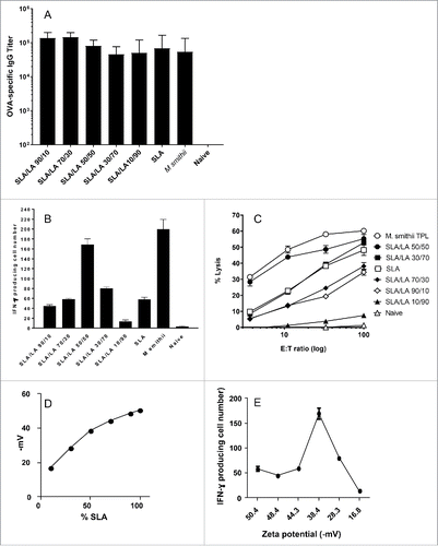 Figure 4. Immune responses induced by OVA entrapped in different SLA/LA archaeosomes. C57/BL6 mice (n = 6/gp) were immunized with 20 µg OVA entrapped in SLA, SLA:LA (at various ratios) or M. smithii archaeosomes on days 0 and 21. At 3 weeks post second immunization, serum was collected and OVA-specific IgG titers measured by ELISA (panel A). Representative mice (n = 2 per group) were killed and splenocytes isolated. Pooled splenocytes were stimulated with IL-2 (0.1 ng/mL) and OVA257–264 (10 μg/ml) and the frequency of IFN-gamma secreting cells in triplicate cultures enumerated by ELISPOT. Number of spots/106 spleen cells is indicated (panel B). Splenocytes were also stimulated with OVA275–264 for 5 d before assessing CTL activity against 51Cr-labeled targets. CTL data represent percentage of specific lysis of triplicate cultures ± SD at various E:T ratios (panel C). Zeta potential (mV) was measured as an indicator of archaeosomes stability and plotted relative to %SLA in different archaeosomes (panel D). The zeta potential (mV) of each archaeosome was also plotted against its respective CD8+ T cell response, as measured by the frequency of IFN-gamma secreting cells enumerated by ELISPOT (panel E).