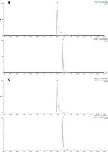 Figure 2 Representative chromatograms in positive ion mode. (A) A blank plasma sample; (B) a blank plasma sample spiked with selinexor and IS; (C) a rat plasma sample 3.0 h after oral administration of selinexor.