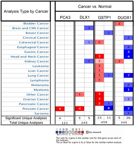 Figure 4 PCA3, DLX1, DUOX1, and GSTP1 expression in various cancers were analyzed. Red represents overexpression in various cancers compared with normal controls; blue represents underexpression in various cancers compared with normal controls.