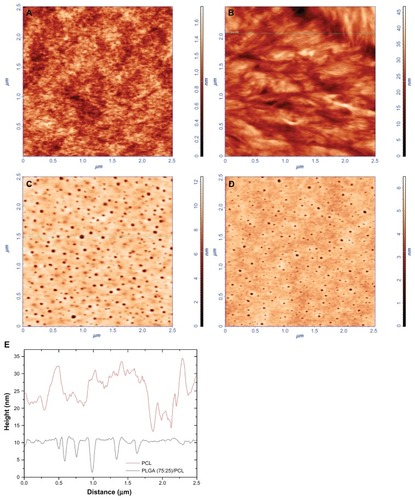 Figure 1 AFM topography images of: (A) PLGA single layer that was spin coated at 53 × g for 30 seconds. (B) PCL single layer that was spin coated at 53 × g for 30 seconds. (C) Dual layer (PLGA [75:25]–PCL) that was spin coated at 53 × g for 30 seconds. (D) Triple layer (PLGA [65:35]–PLGA [75:25]–PCL) that was spin coated at 53 × g for 30 seconds. The scan size is 2.5 μm × 2.5 μm. (E) Corresponding X cross sections of Figure 1B and C that reveal the dimensions of the holes between the spherulites of PCL single layers and the pore sizes of PLGA–PCL dual layers, respectively.Abbreviations: PLGA, poly (DL-lactide-co-glycolide); PCL, polycaprolactone.