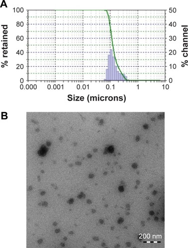 Figure 1 Particle size distribution measured by particle size analyzer (A) and TEM photomicrographs of VNP-TPGS-ALA micelles (B).Abbreviations: ALA, alpha lipoic acid; TEM, transmission electron microscopy; TPGS, D-α-tocopherol polyethylene glycol 1000 succinate; VNP, vinpocetine.