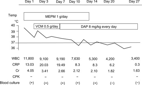 Figure 3 Clinical course of case 3, an 85-year-old male who was treated for methicillin-resistant Staphylococcus aureus bacteremia. Renal function: creatinine clearance 16.3 mL per minute and estimated glomerular filtration rate 10.2 mL/min/1.73 m2.