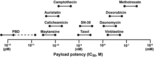 Figure 1. Relative range of potency for some of the more commonly used ADC payloads against human cancer cell line in vitro (adapted from Nakada et al.Citation60).