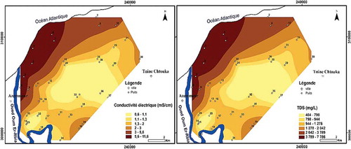 Figure 5. Distribution spatiale de la conductivité électrique et TDS dans l’aquifère Crétacé de la Chaouia côtière (mai 2011).