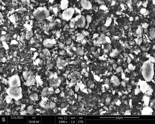 Figure 2. FESEM image of Graphene Nanoplatelets.