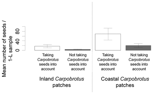 Figure 1. Mean number of seeds in the litter in each 1-litre sample in the two invaded areas taking Carpobrotus seeds into account (white bars) and without including Carpobrotus seeds (grey bars) (permutation test: maxT = 3.03, p = 0.012). The multiple comparison tests calculated with the BH adjustment (Benjamini and Hochberg Citation1995) were not significant.