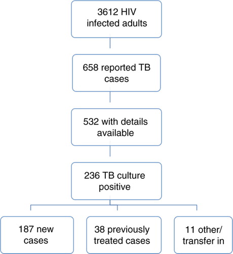 Fig. 1 TB cases amongst HIV-infected patients.